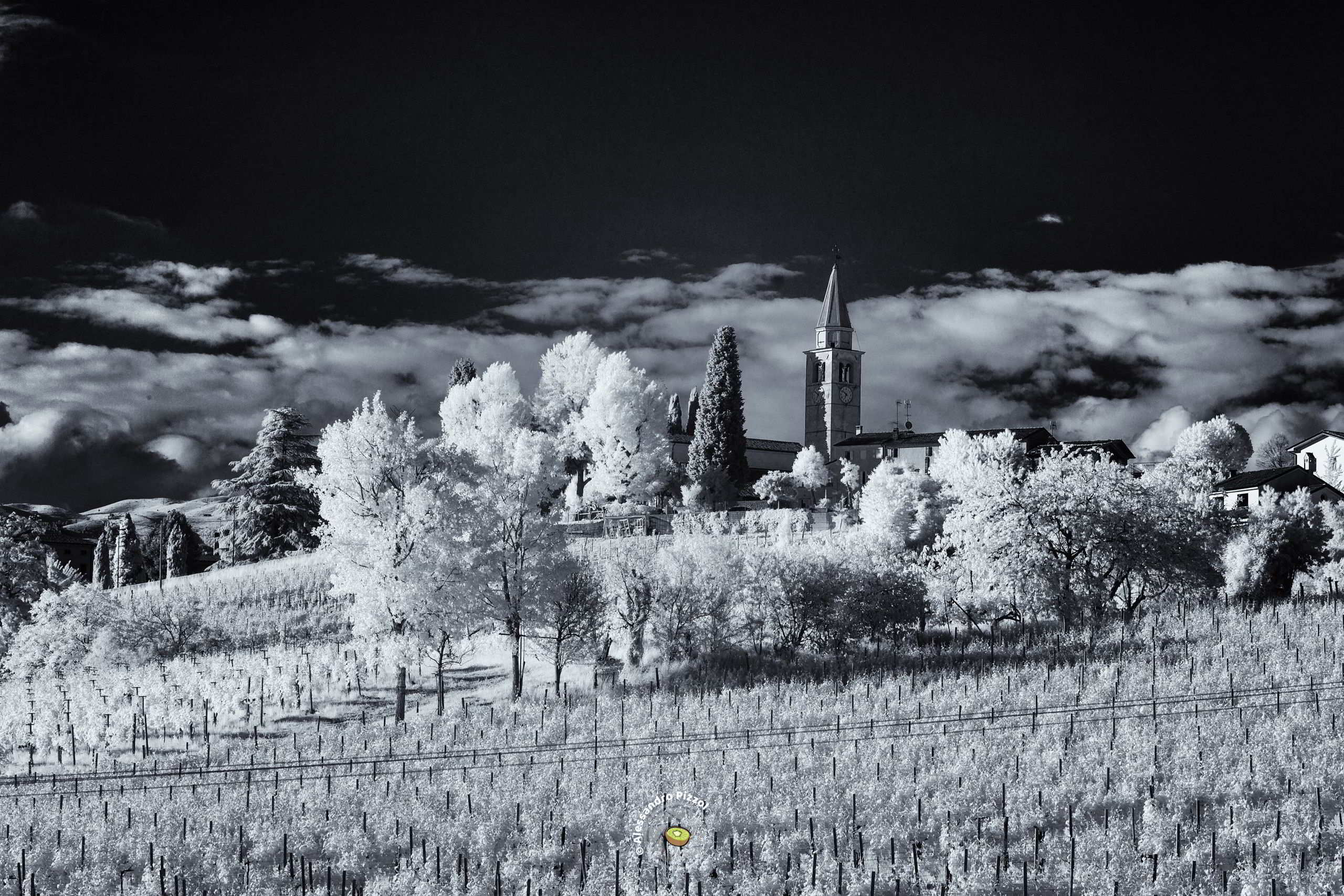 Colline del Prosecco | San Pietro di Feletto (Treviso)