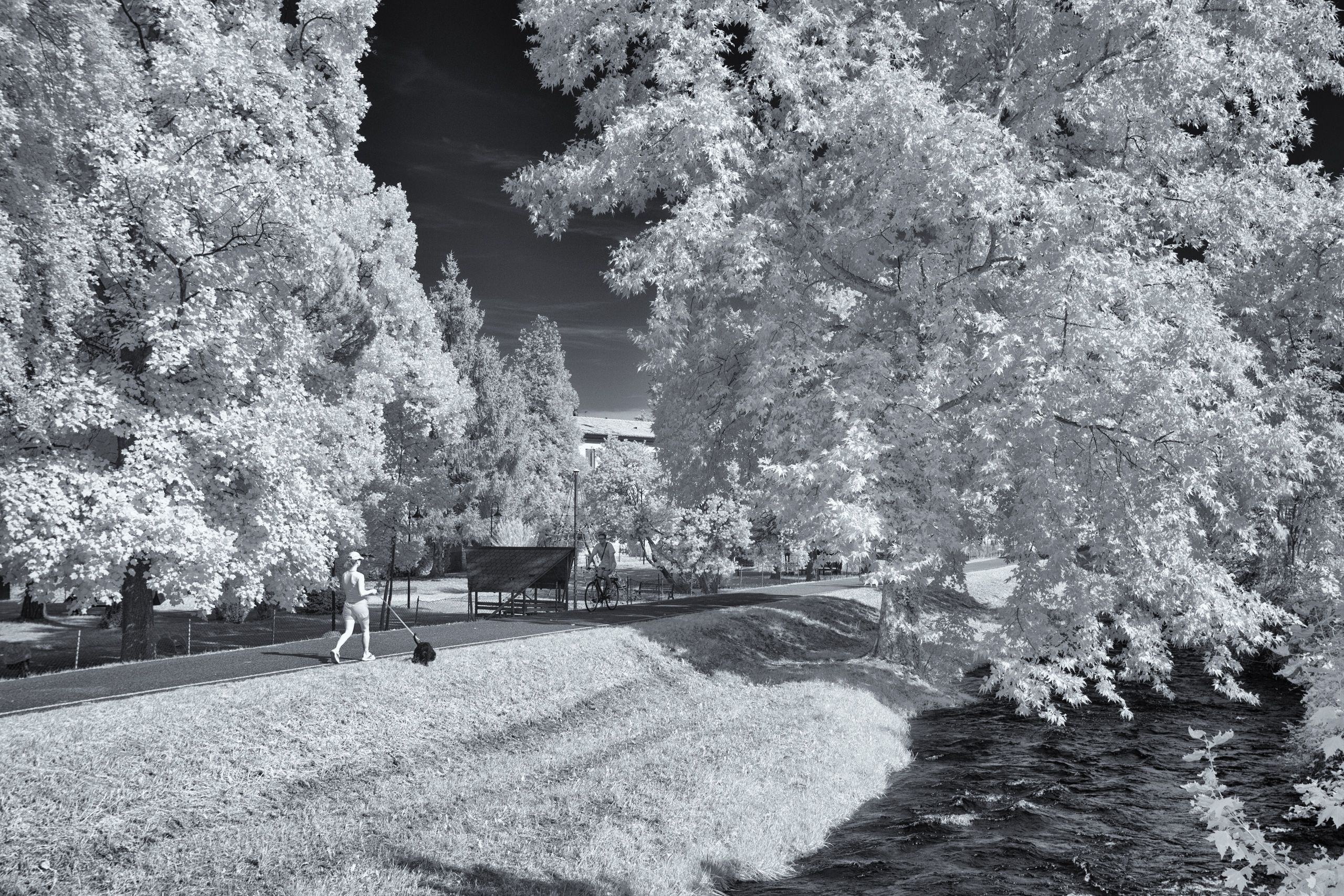 Fiume Meschio | Pista ciclabile lungo Meschio (Vittorio Veneto · Treviso)