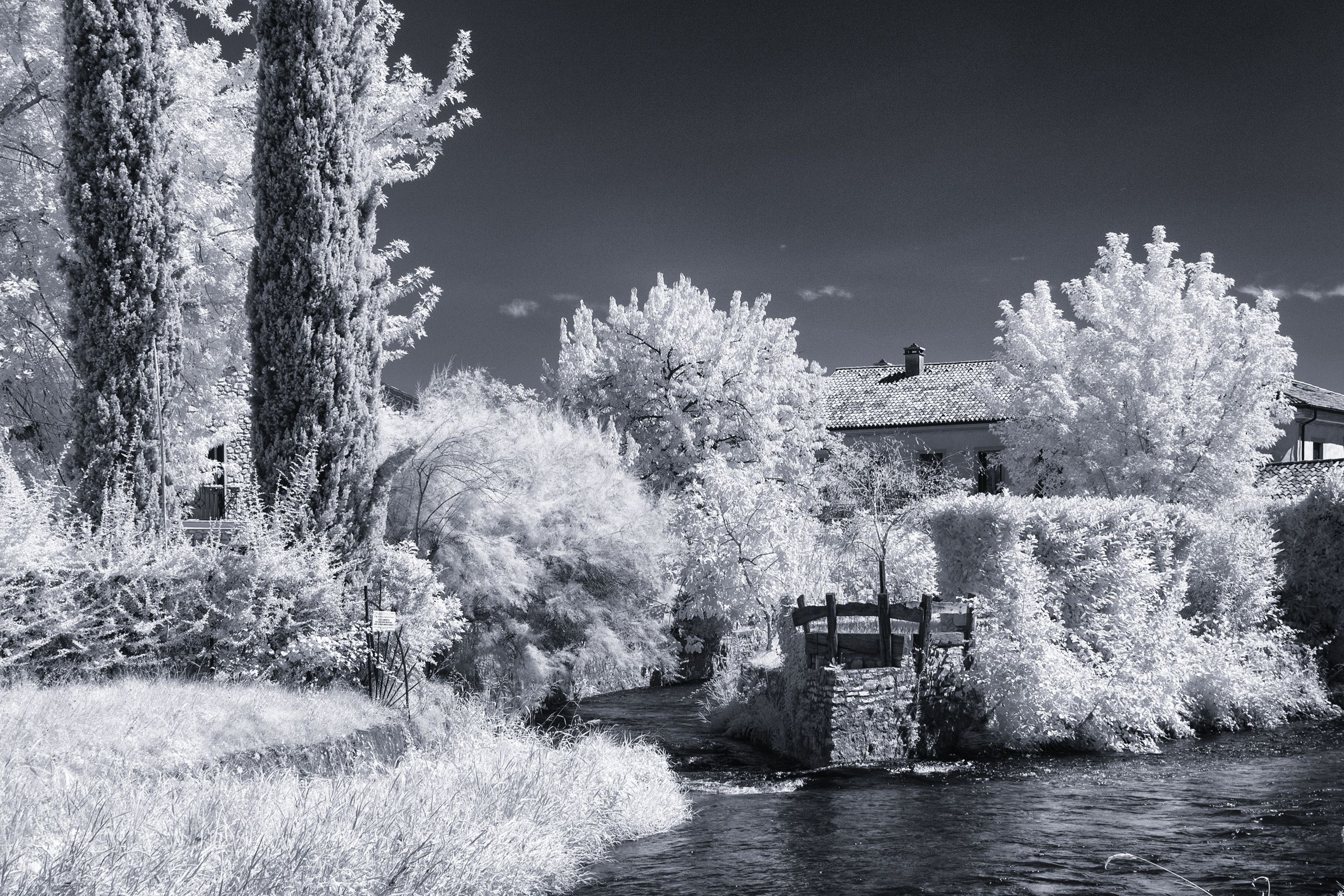 Fiume Meschio | (Vittorio Veneto · Treviso)