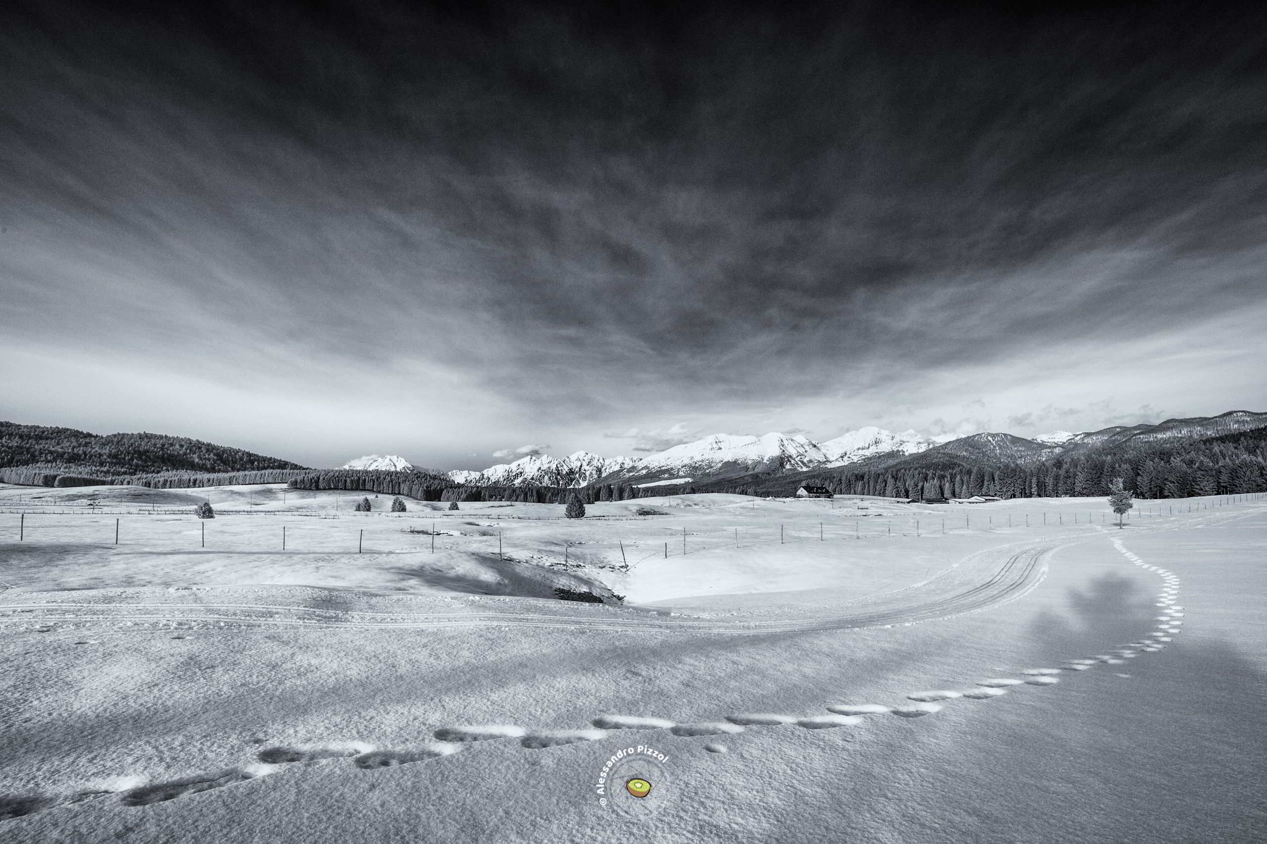 Orme | Pian Cansiglio (Tambre · Belluno)