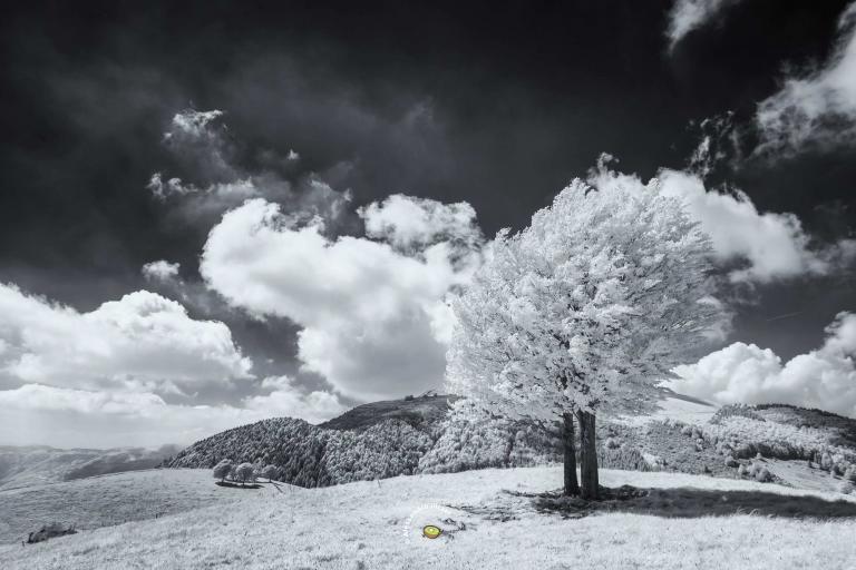 Un posto al Sole | Monte Pizzoc (Fregona · Treviso)
