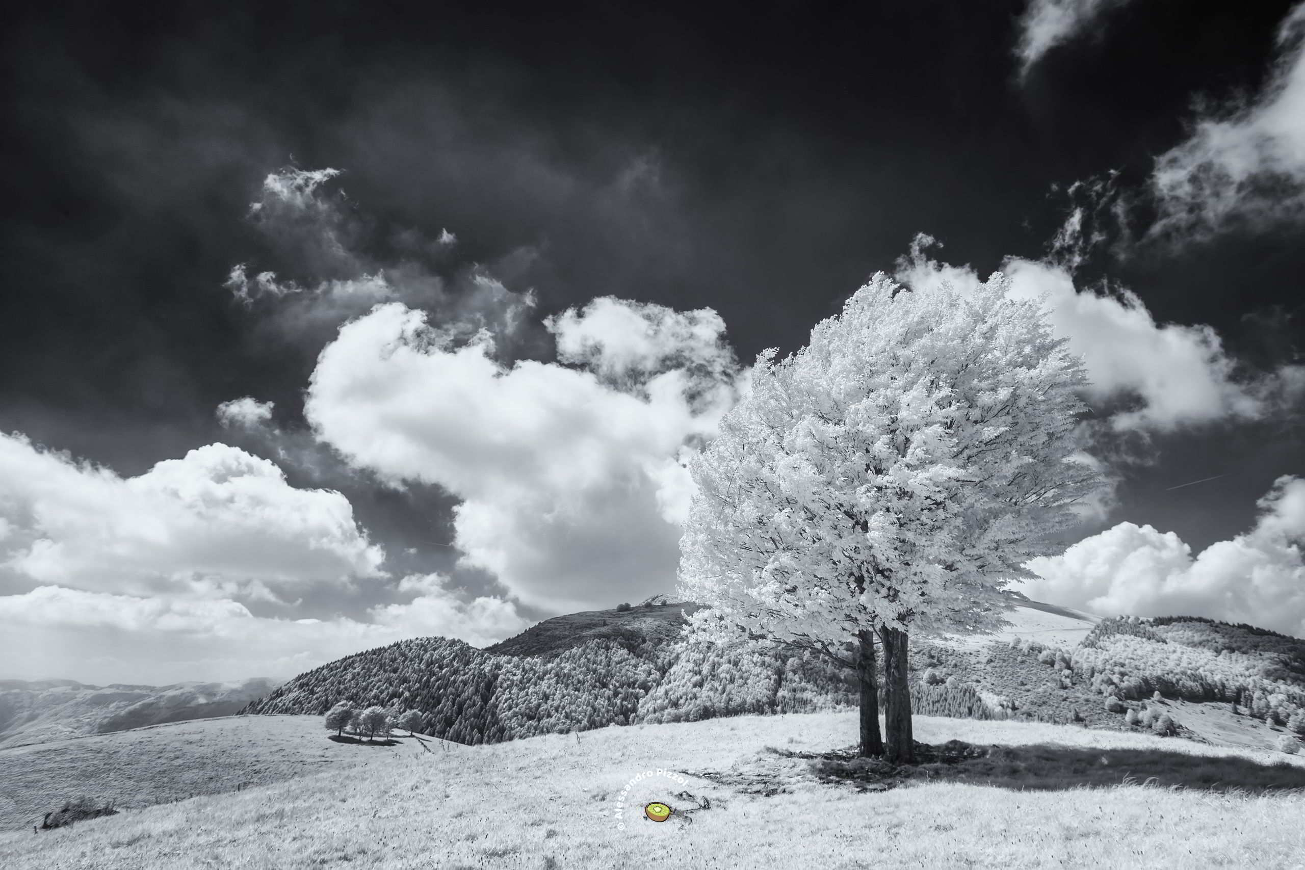 Un posto al Sole | Monte Pizzoc  (Fregona · Treviso)