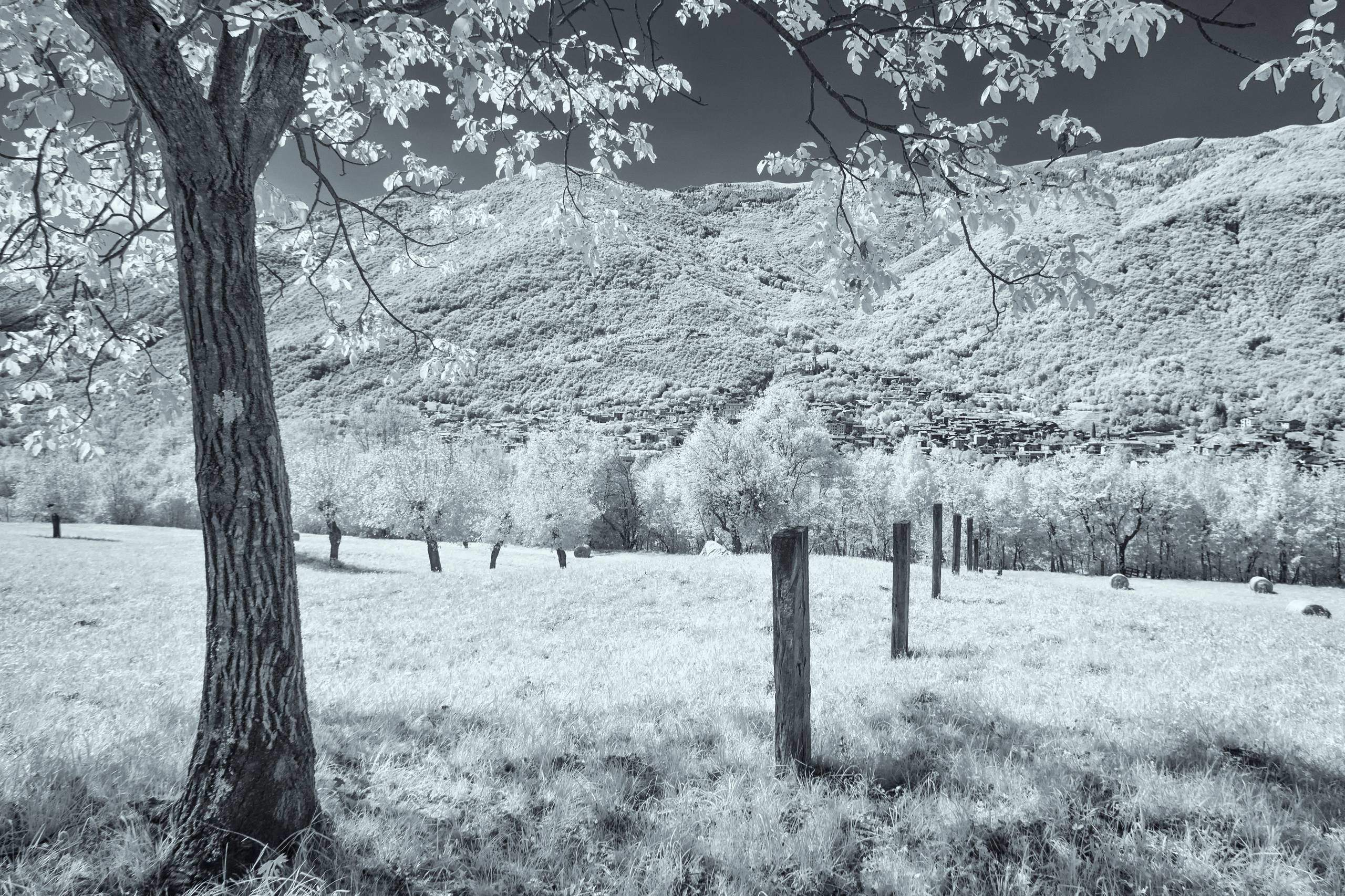 Revine | Vista sulla frazione di Revine (Revine Lago · Treviso)